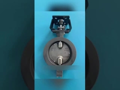 Máy van bướm động cơ là gì