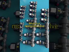 Một van động cơ là gì?