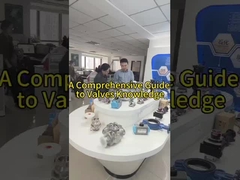 Tại sao khách hàng thích van của Fabia?