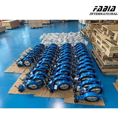 8 Inch Worm Gear Butterfly Valve Chất kín đáng tin cậy cho xử lý nước ngành công nghiệp khí đốt tự nhiên